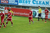 Bild: Starke G&auml;ste auf dem G&ouml;ldner von Sondershausen