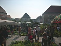 Pflanzenmarkt am Sonntag Bild: Pflanzenmarkt am Sonntag