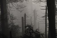 Bild: Brocken am 30. Dezember 2015