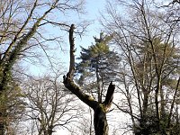 Bild: Peter Blei zu Besuch auf Schloss Oranienbaum