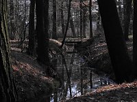 Bild: Peter Blei zu Besuch auf Schloss Oranienbaum