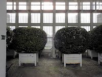 Bild: Peter Blei zu Besuch auf Schloss Oranienbaum
