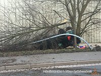 Bild: Das Ende einer Flucht bei Gro&szlig;furra