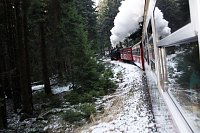 Bild: Am Frauentag auf den Brocken