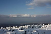 Bild: Am Frauentag auf den Brocken