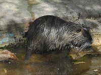 Bild: Peter Blei unterwegs in K&ouml;then