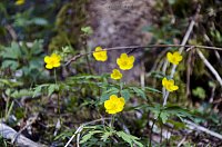 Bild: Unterwegs im Naturpark S&uuml;dharz