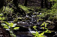 Bild: Unterwegs im Naturpark S&uuml;dharz