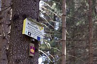 Bild: Unterwegs im Naturpark S&uuml;dharz