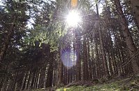 Bild: Unterwegs im Naturpark S&uuml;dharz