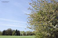 Bild: Unterwegs im Naturpark S&uuml;dharz