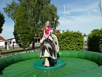 Bild: Fest der L&auml;mmerschw&auml;nze