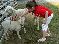 Bild: Fest der L&auml;mmerschw&auml;nze