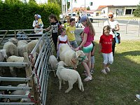 Bild: Fest der L&auml;mmerschw&auml;nze
