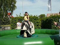 Bild: Fest der L&auml;mmerschw&auml;nze