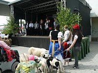 Bild: fest der L&auml;mmerschw&auml;nze
