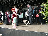 Bild: fest der L&auml;mmerschw&auml;nze