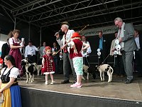 Bild: fest der L&auml;mmerschw&auml;nze