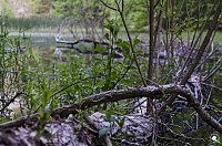 Bild: Wanderung im Morgengrauen