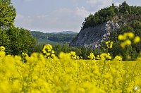 Bild: Wanderung im Morgengrauen