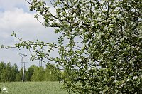 Bild: Wanderung im Morgengrauen