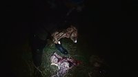 Bild: Grausame Jagd auf K&auml;ngurus