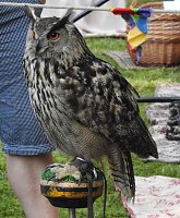 Bild: Barockes Gartenfest im Labyrinth