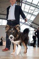 Bild: After-Work-Party bei Audi