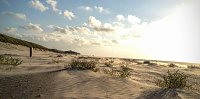 Bild: Unterwegs auf Ameland