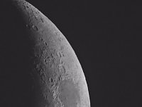 Bild: Spinnen im Mondschein am Goitzsche See