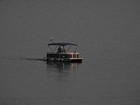 Bild: Spinnen im Mondschein am Goitzsche See