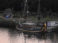 Bild: Spinnen im Mondschein am Goitzsche See