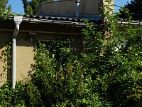 Bild: Unwirkliche Orte - Bahnbetriebswerk K&ouml;then