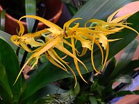 Bild: 25 Jahre Keramikscheune Spickendorf