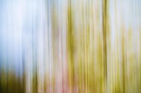 Bild: Keine Angst vor dem Herbst