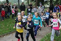Bild: Stadtparklauf