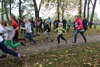 Bild: Stadtparklauf