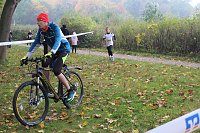 Bild: Stadtparklauf