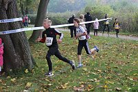 Bild: Stadtparklauf