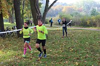 Bild: Die langen Strecken beim Stadtparklauf