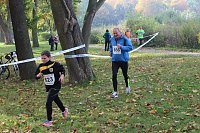 Bild: Die langen Strecken beim Stadtparklauf