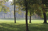 Bild: Die langen Strecken beim Stadtparklauf