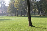 Bild: Die langen Strecken beim Stadtparklauf