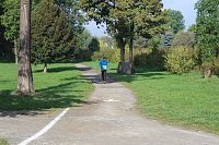 Bild: Die langen Strecken beim Stadtparklauf