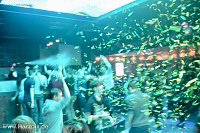 One F*cking High School Night Bild: One F*cking High School Night
