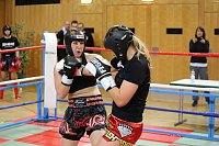 Kickboxen Bild: Kickboxen