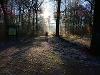 Bild: Ein Traum in Wei&szlig;