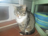 sucht neues Zuhause Bild: sucht neues Zuhause