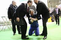 Protest bei Grüner Woche Bild: Protest bei Grüner Woche