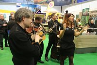 Grüne Woche 2017 in Berlin Bild: Grüne Woche 2017 in Berlin